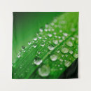 Search for drop leafs art Nature