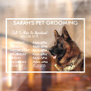 Search for doggy daycare Small business