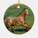 Search for appaloosa horse christmas tree decorations Running