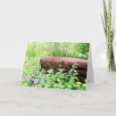 Search for blank nature cards Floral