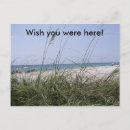 Search for siesta postcards Beach