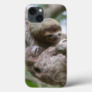 Search for sloth cases Rainforest