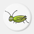 Search for cricket magnets Grasshopper