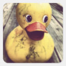 Search for bath square stickers Rubber ducky