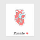 Search for heart anatomy stickers Nurse