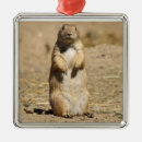 Search for prairie dog christmas tree decorations Nature