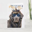 Search for newfoundland dog birthday cards Dogs