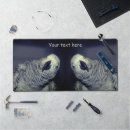 Search for bird pet electronics Cute