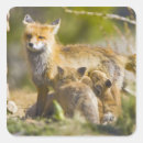 Search for breckenridge colorado stickers Jaynes gallery