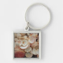 Search for shell key rings Pattern
