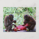 Search for charity postcards School