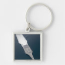 Search for lcs key rings Test