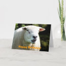 Search for rams cards Animal