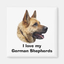 Search for working dogs magnets Puppies