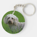 Search for the wire key rings Dachshund