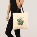 Search for cactus bloom Succulent