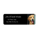 Search for golden retrievers return address labels Animal
