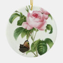 Search for planting christmas tree decorations Trees