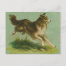 Search for vintage farm postcards Dog
