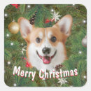 Search for corgi christmas stickers Cute