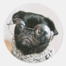 Search for dog in glasses stickers Cute