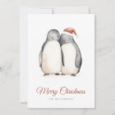 Search for penguin love cards North pole
