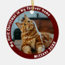 Search for cat lover christmas tree decorations My first christmas