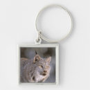 Search for ear key rings Wild