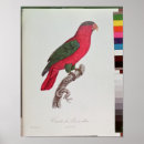 Search for jacques posters Red