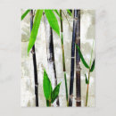 Search for bamboo postcards Black and white