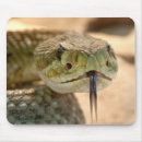 Search for rattlesnake electronics Pattern