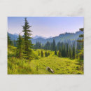 Search for carter postcards Jaynes gallery