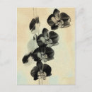 Search for orchids postcards Flower