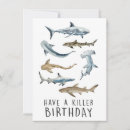 Search for killer shark Funny