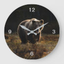 Search for bear clocks Wildlife