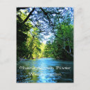 Search for bright green postcards Nature