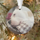 Search for loss pet memorial ornaments Loss of a dog