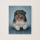 Search for australian shepherd puzzles Canine