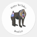 Search for rainforest stickers Primate