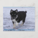 Search for adoptions postcards Puppy