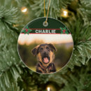 Search for dog by breed christmas tree decorations For her