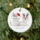 Search for santa cat christmas tree decorations Pet
