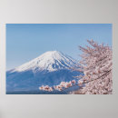 Search for mt fuji posters Cherry blossoms