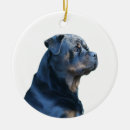 Search for rottweiler christmas tree decorations Puppy