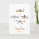 Search for flying insects cards Wings
