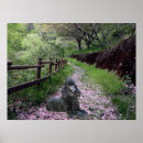 Search for standard poodle art Poodles