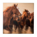 Search for mane tiles Animal