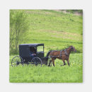 Search for buggy magnets Horse