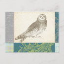 Search for turquoise background postcards Animal