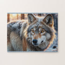 Search for wild wolf puzzles Snow